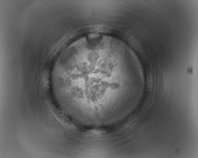 X0000116490255200912231157