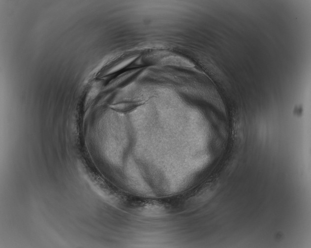 X0000116490256200912231157