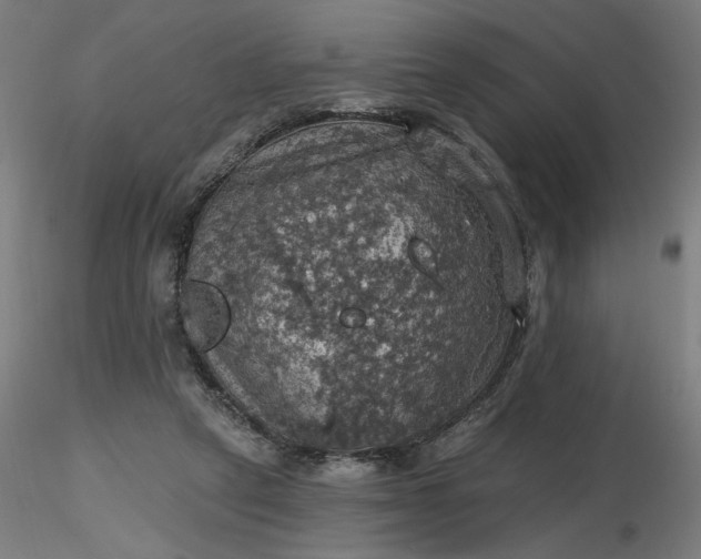 X0000116490257200912231157