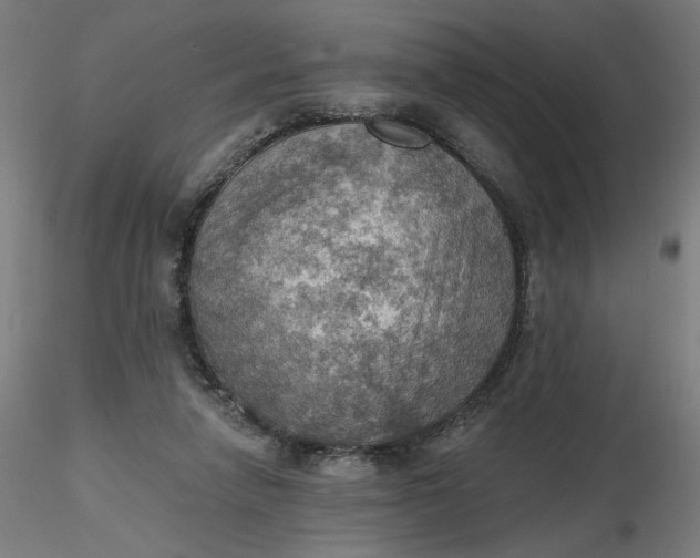 X0000116490258200912231157