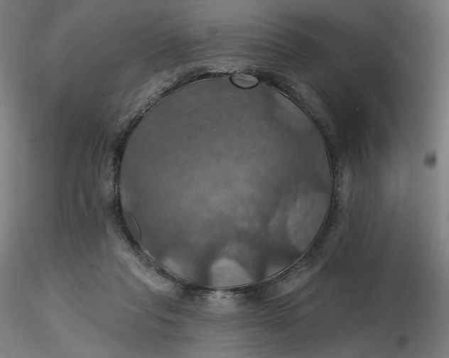 X0000116490261200912231157