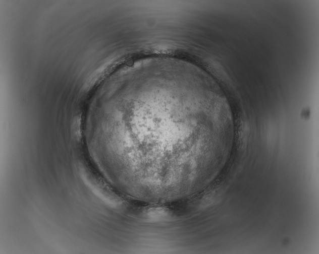 X0000116490262200912231157