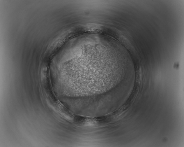 X0000116490263200912231157