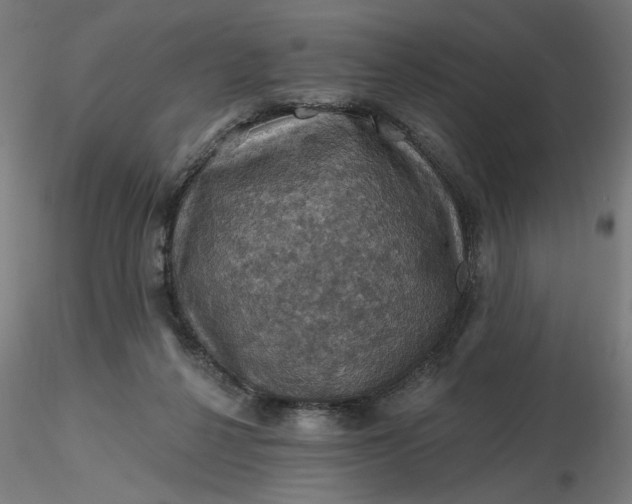 X0000116490264200912231157