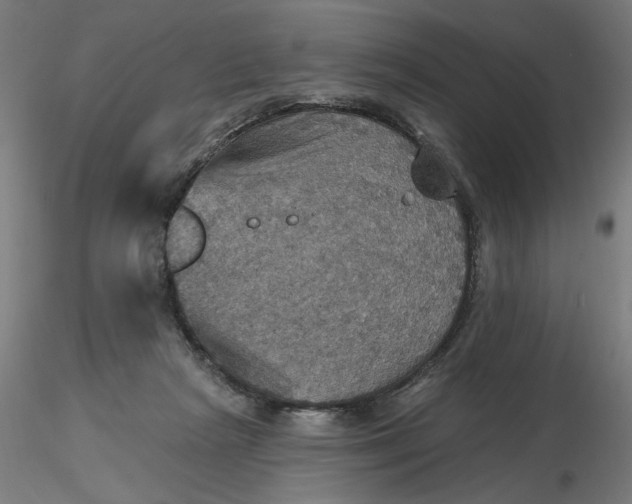 X0000116490265200912231157