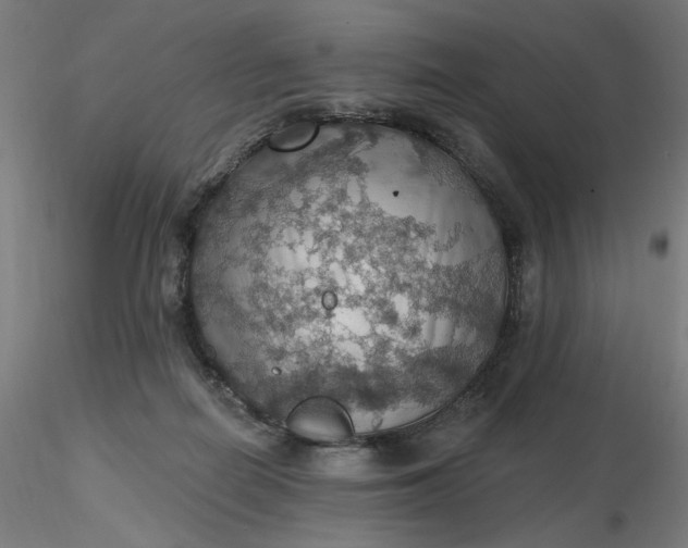 X0000116490266200912231157