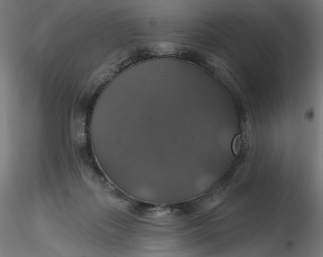 X0000116490267200912231157