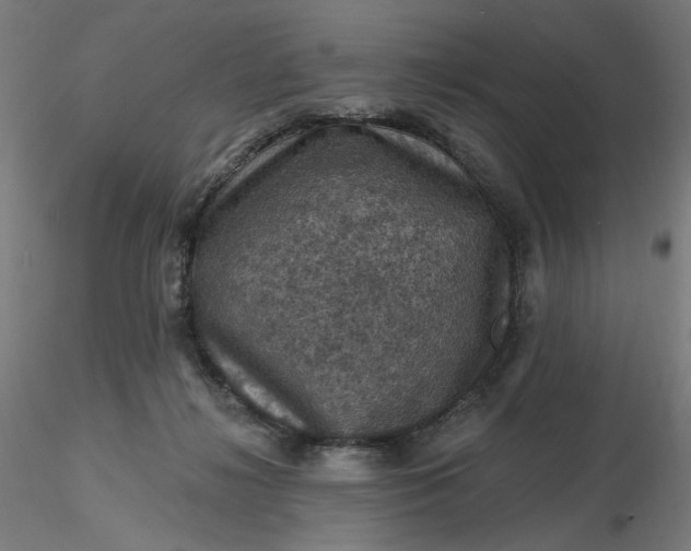 X0000116490268200912231157