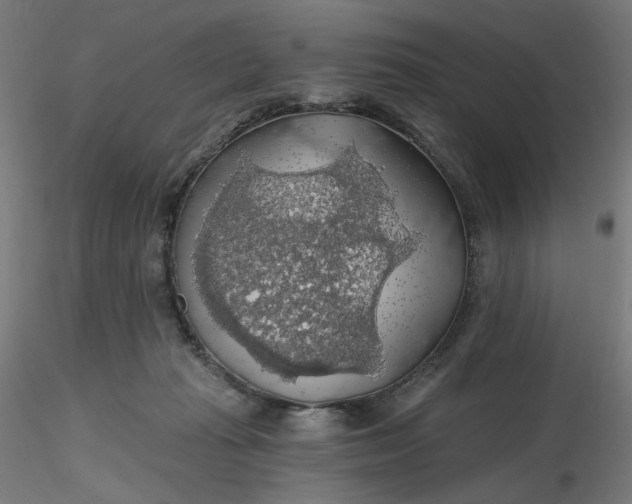 X0000116490269200912231158