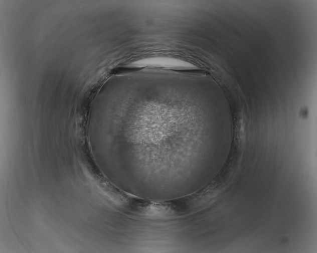 X0000116490270200912231158