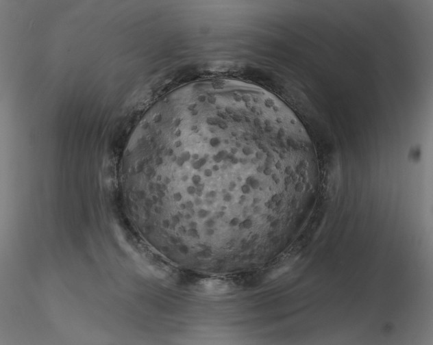 X0000116490272200912231158