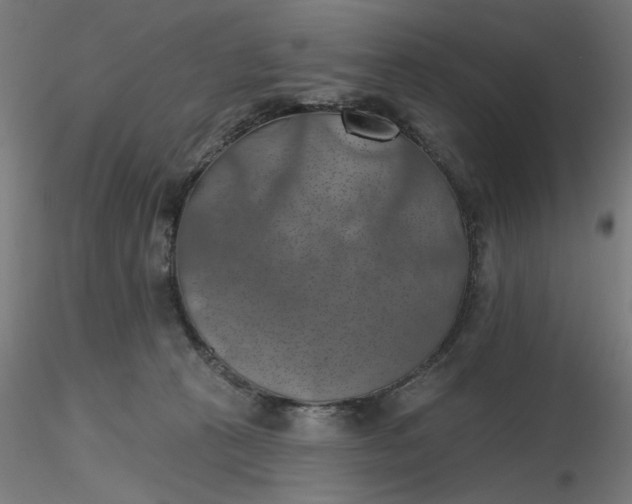 X0000116490273200912231158