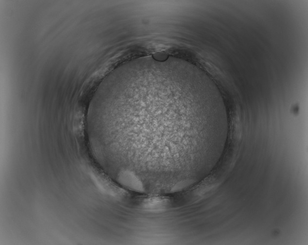 X0000116490274200912231158