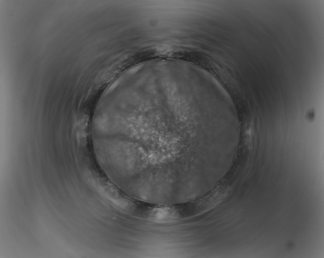 X0000116490275200912231158