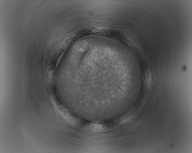 X0000116490276200912231158