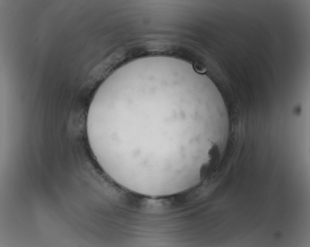 X0000116490277200912231158