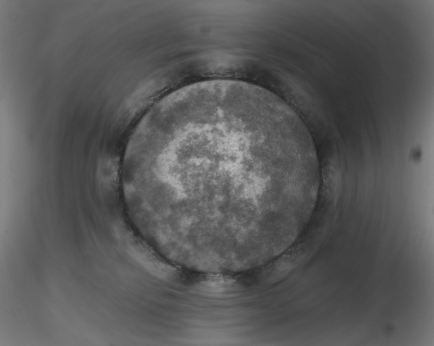 X0000116490278200912231158