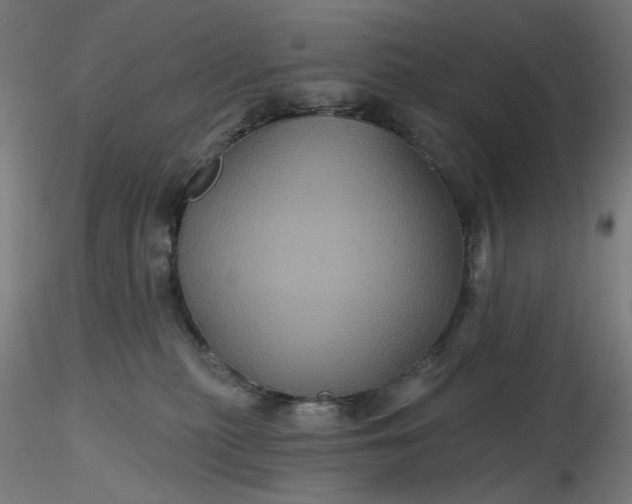 X0000116490279200912231158