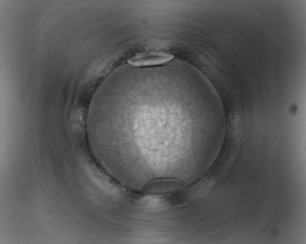 X0000116490280200912231158