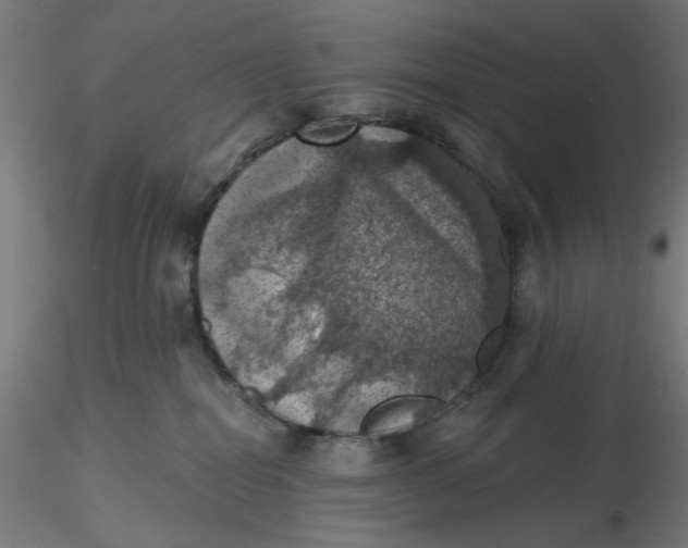 X0000116490282200912231158