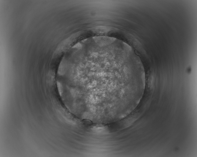 X0000116490283200912231158