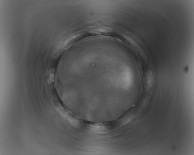 X0000116490284200912231158