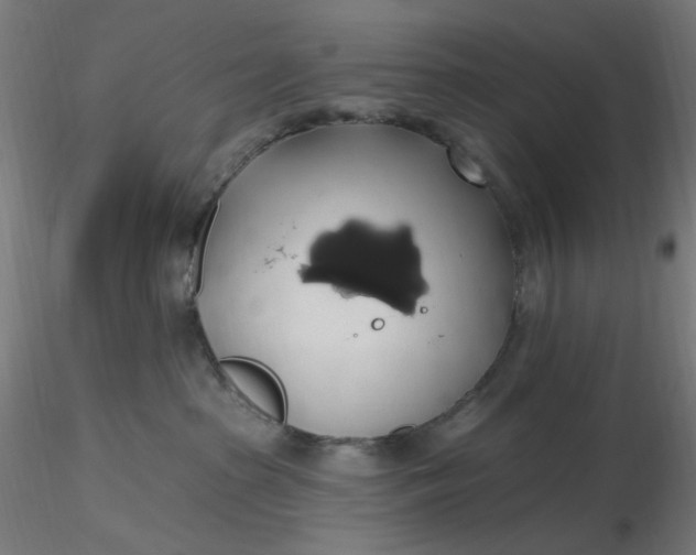 X0000116490285200912231158