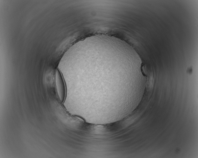 X0000116490287200912231158