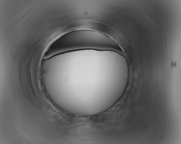 X0000116490289200912231157