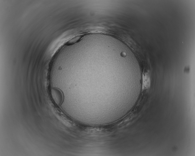 X0000116490291200912231157