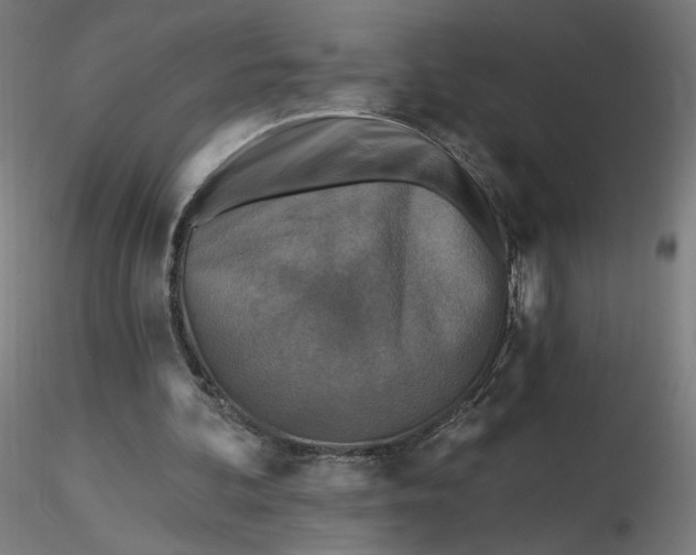 X0000116490292200912231157