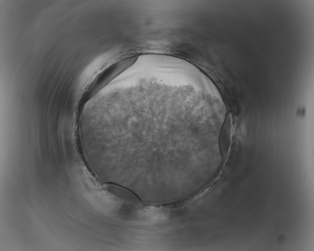 X0000116490293200912231157