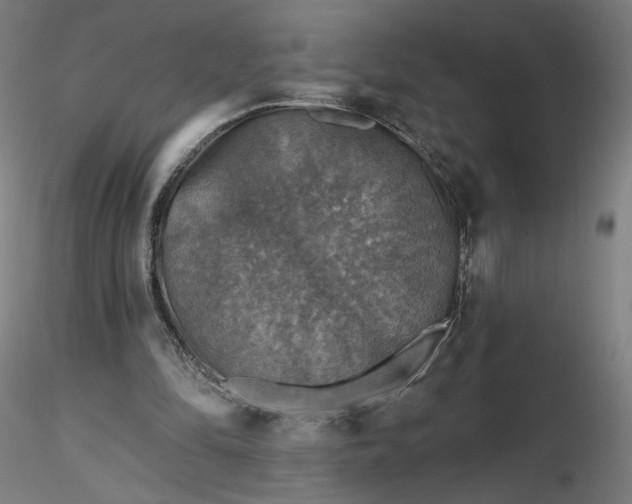 X0000116490294200912231157