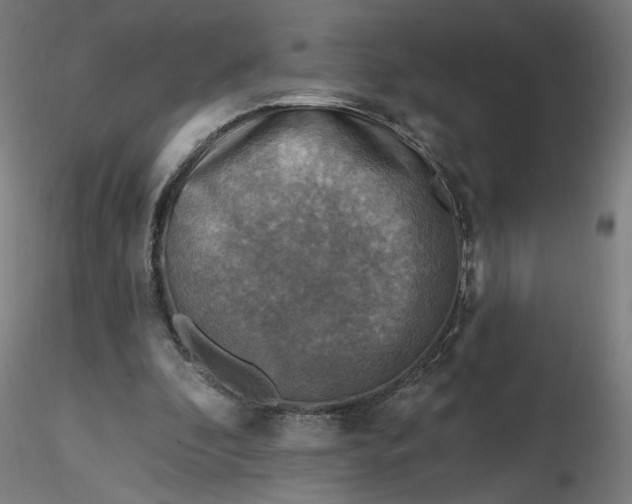 X0000116490296200912231157