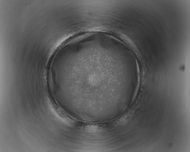 X0000116490298200912231157