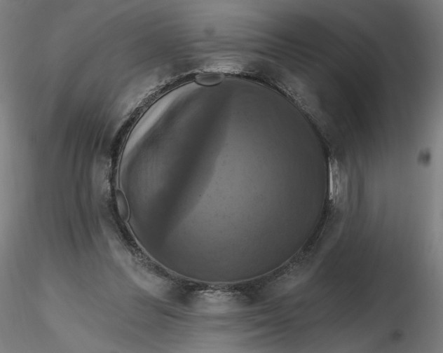 X0000116490300200912231157