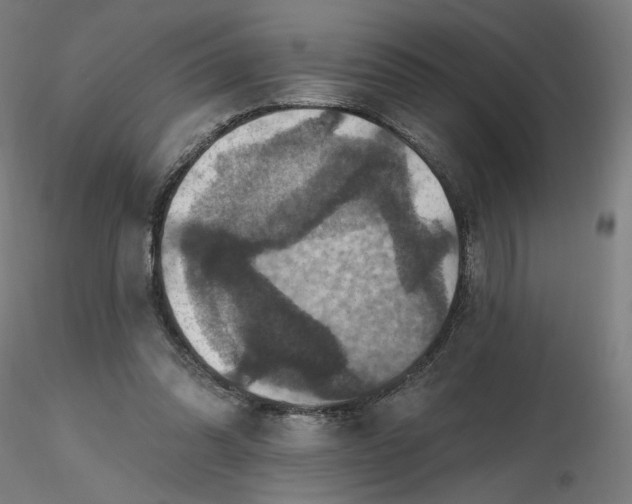 X0000116490302200912231157