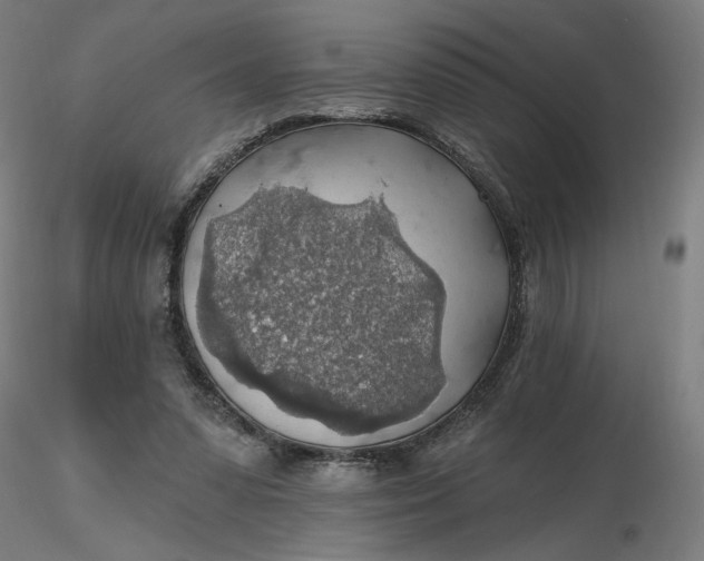 X0000116490303200912231157