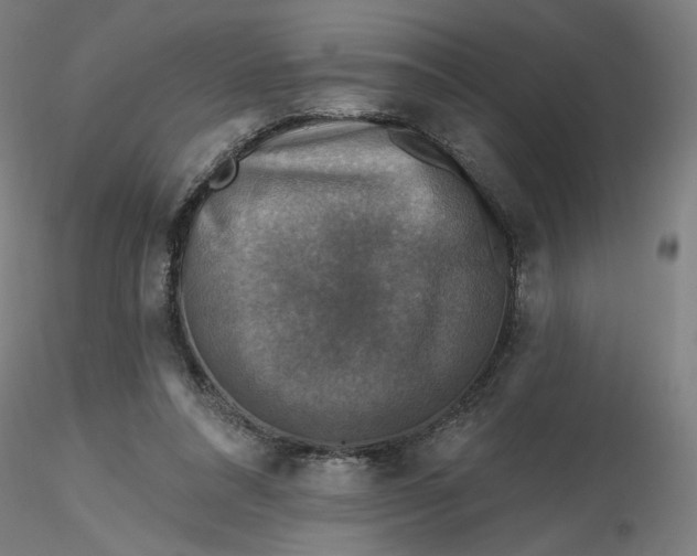 X0000116490304200912231157