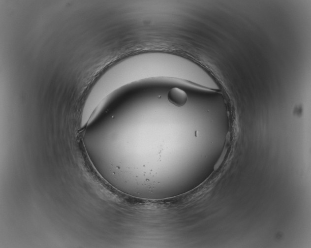 X0000116490305200912231157