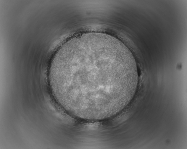 X0000116490306200912231157