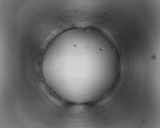 X0000116490307200912231157