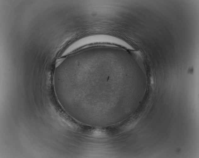 X0000116490308200912231157