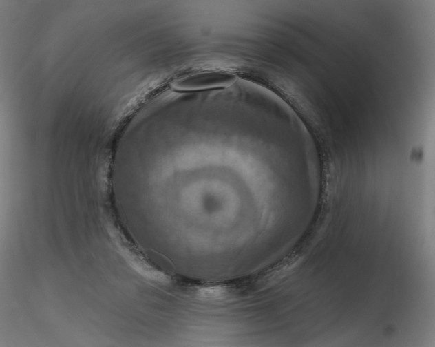 X0000116490309200912231157