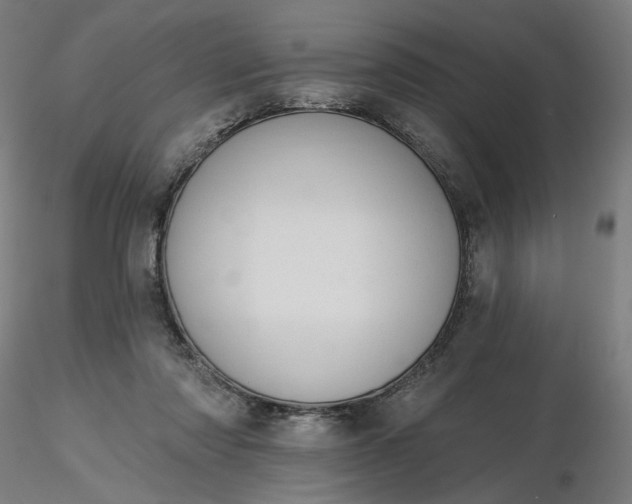 X0000116490310200912231157