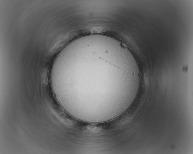 X0000116490311200912231157