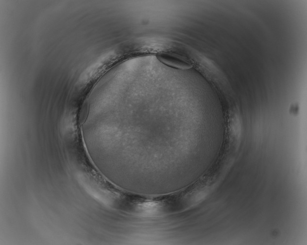 X0000116490312200912231157