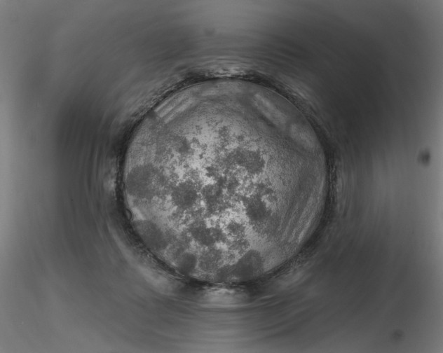 X0000116490315200912231157