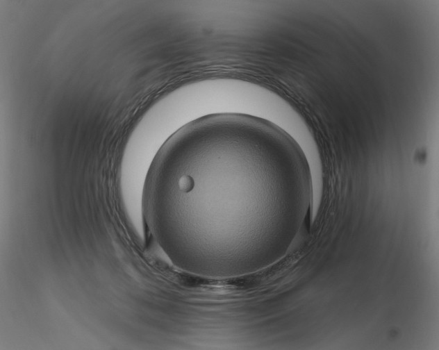 X0000116490316200912231157