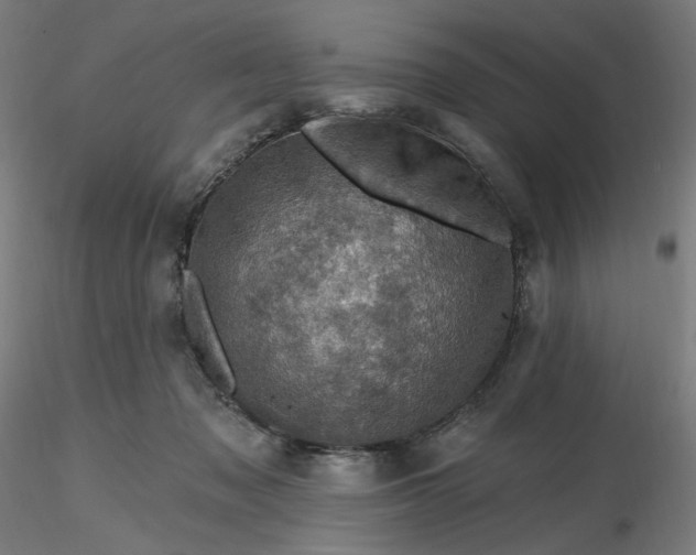 X0000116490317200912231157